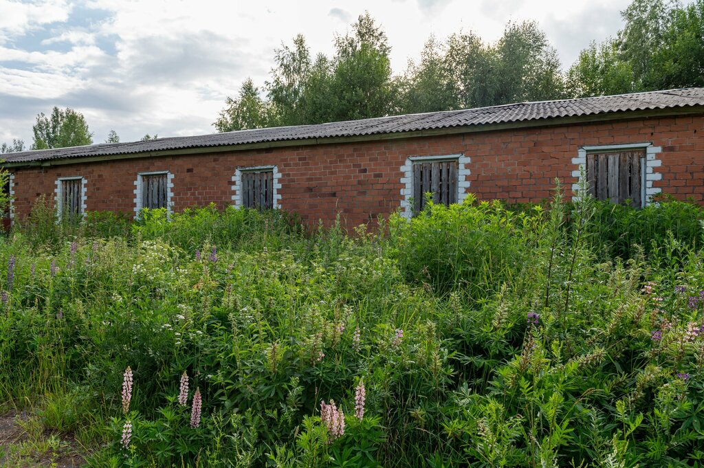 School Школа, Yaroslavl Oblast, photo