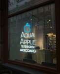 Aqua Apple (ulitsa Kamenny Most, 6), electronics store
