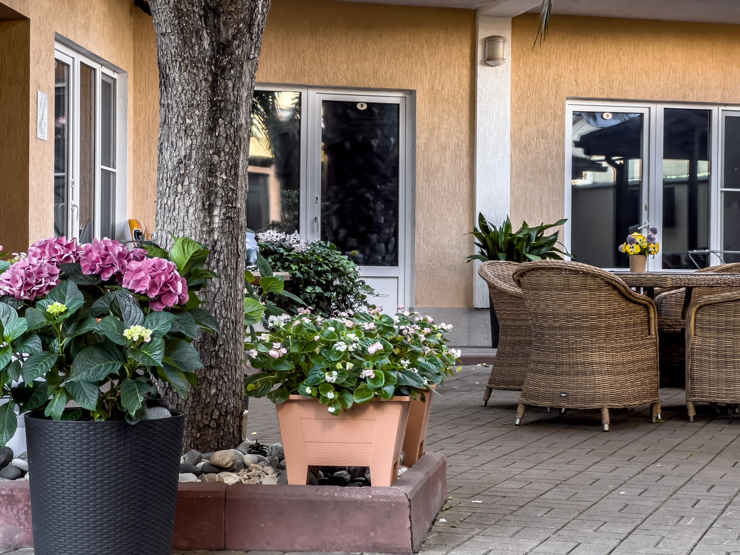 Фото Фрегат-2