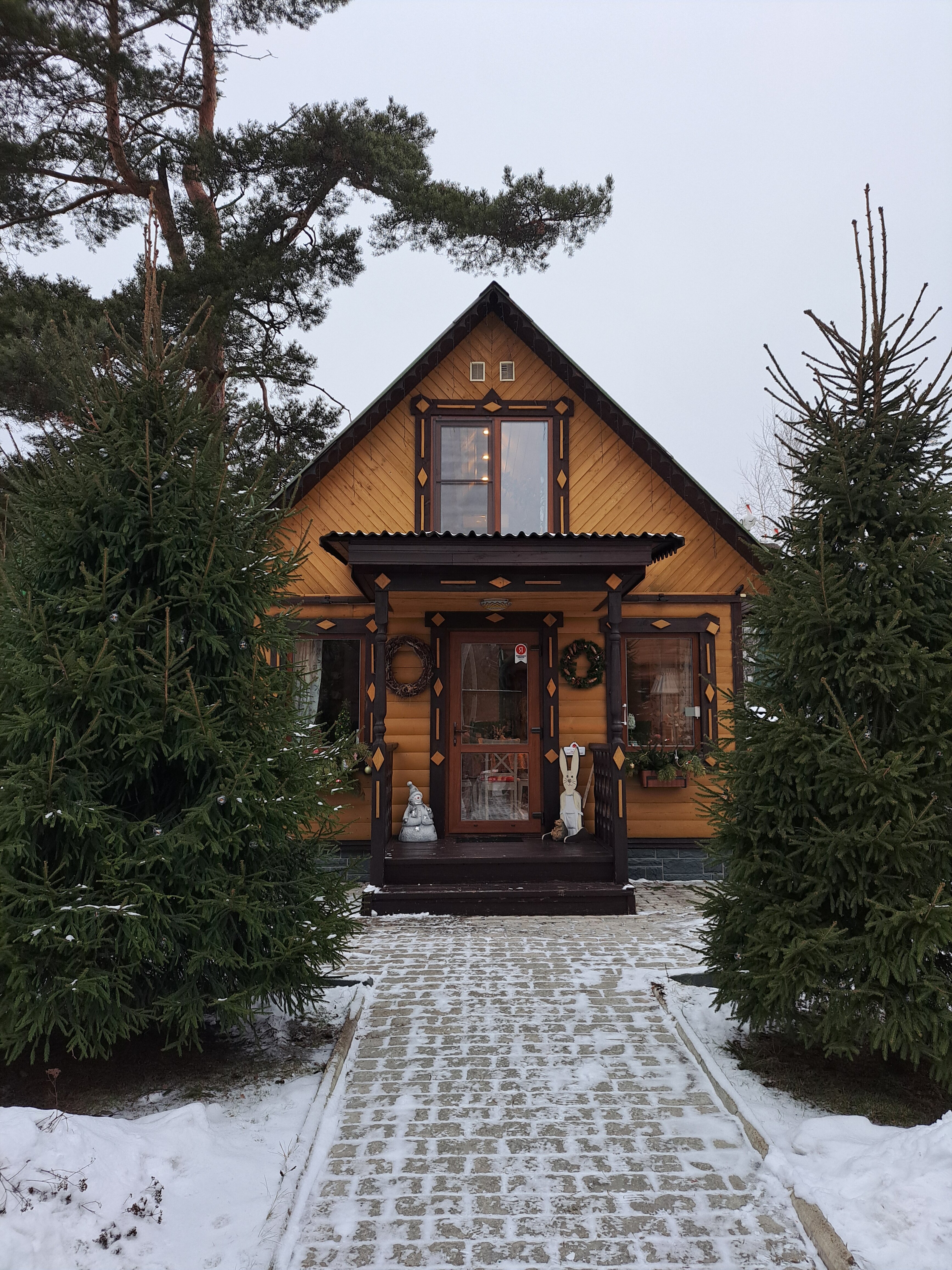 Фото Дом Шишки