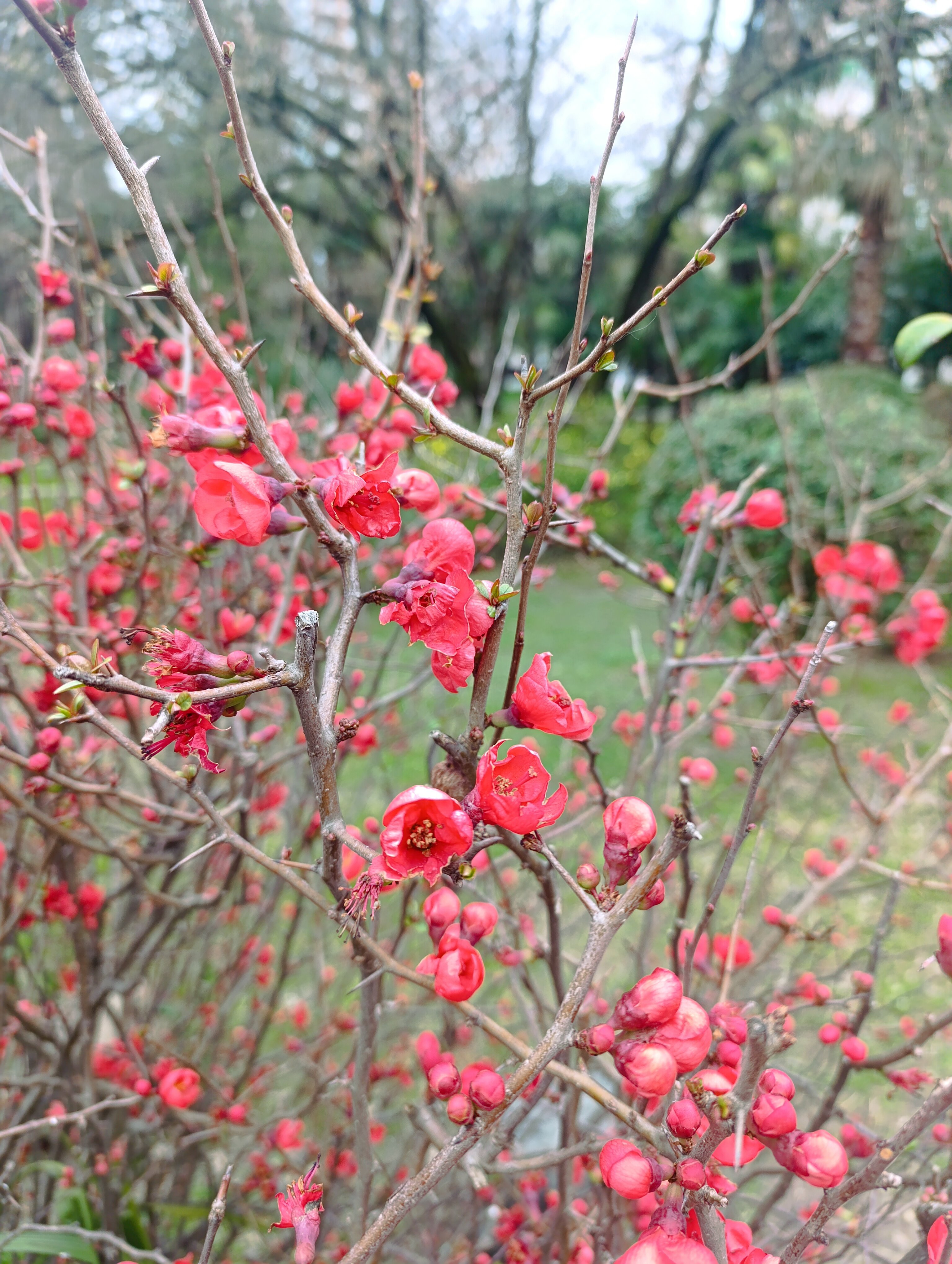 Фото Вилла Сохо