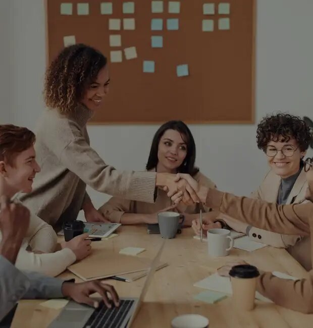 Employment center Exact X Forestall, Adapazari, photo