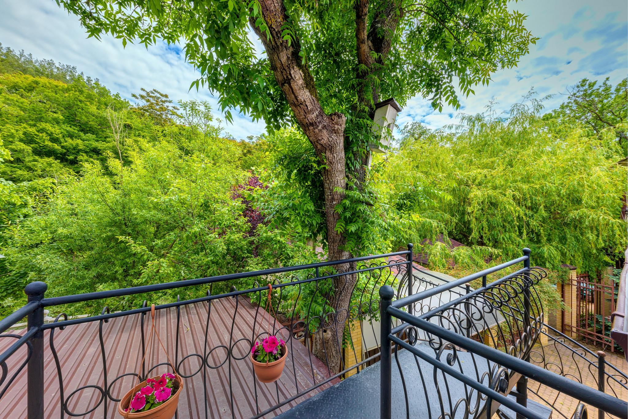 Фото Ашамба