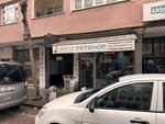 Beyz Petshop (Istanbul, Kucukcekmece, Ucar Street, 1/1B), pet shop