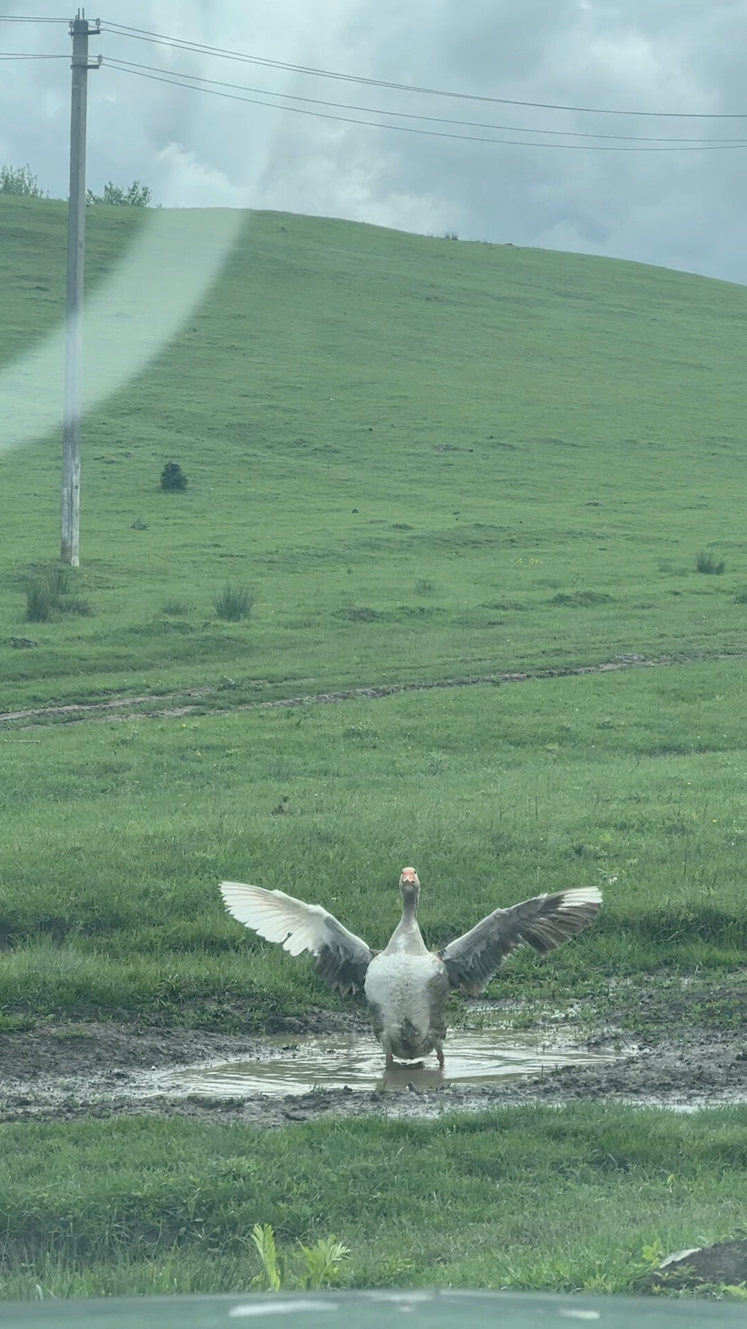 Фото Западный Кавказ