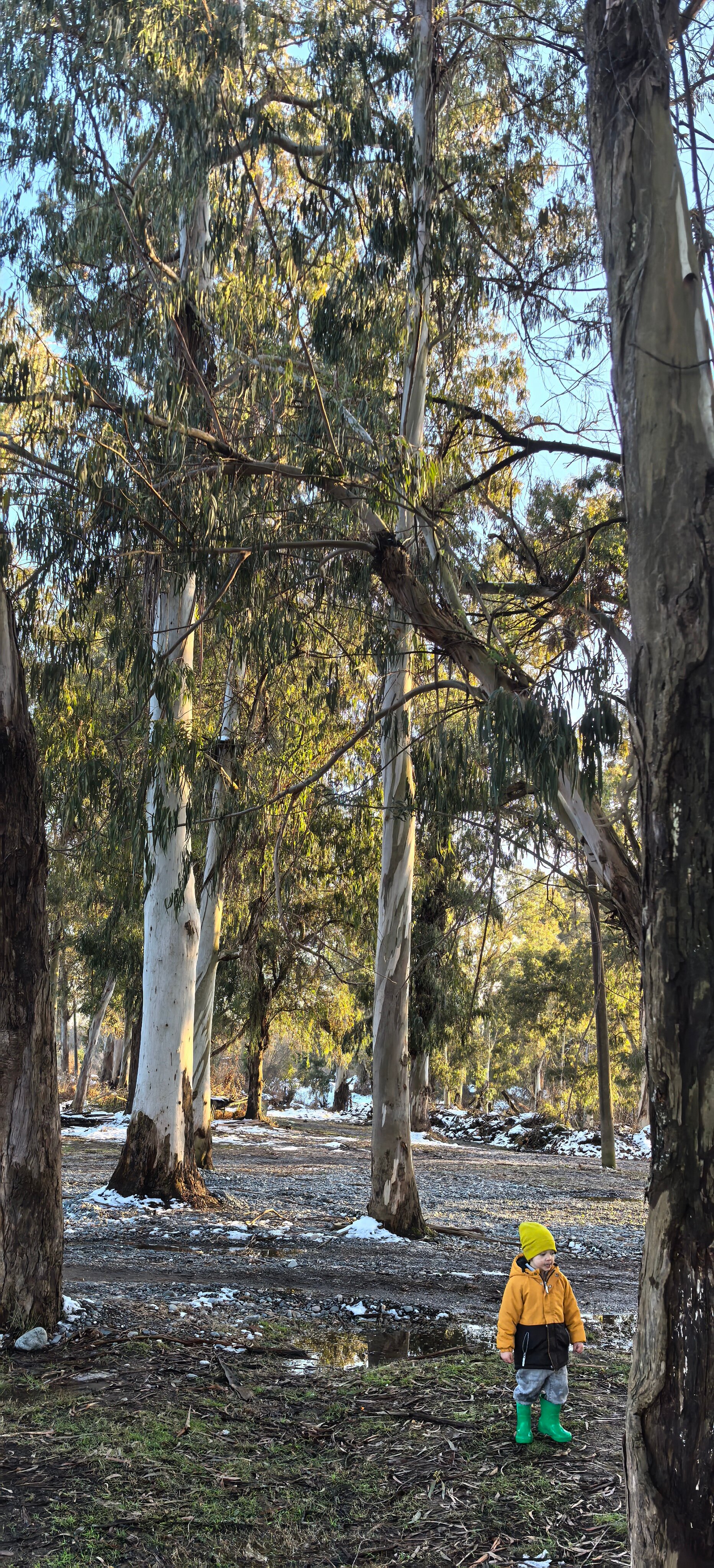 Фото Сказка