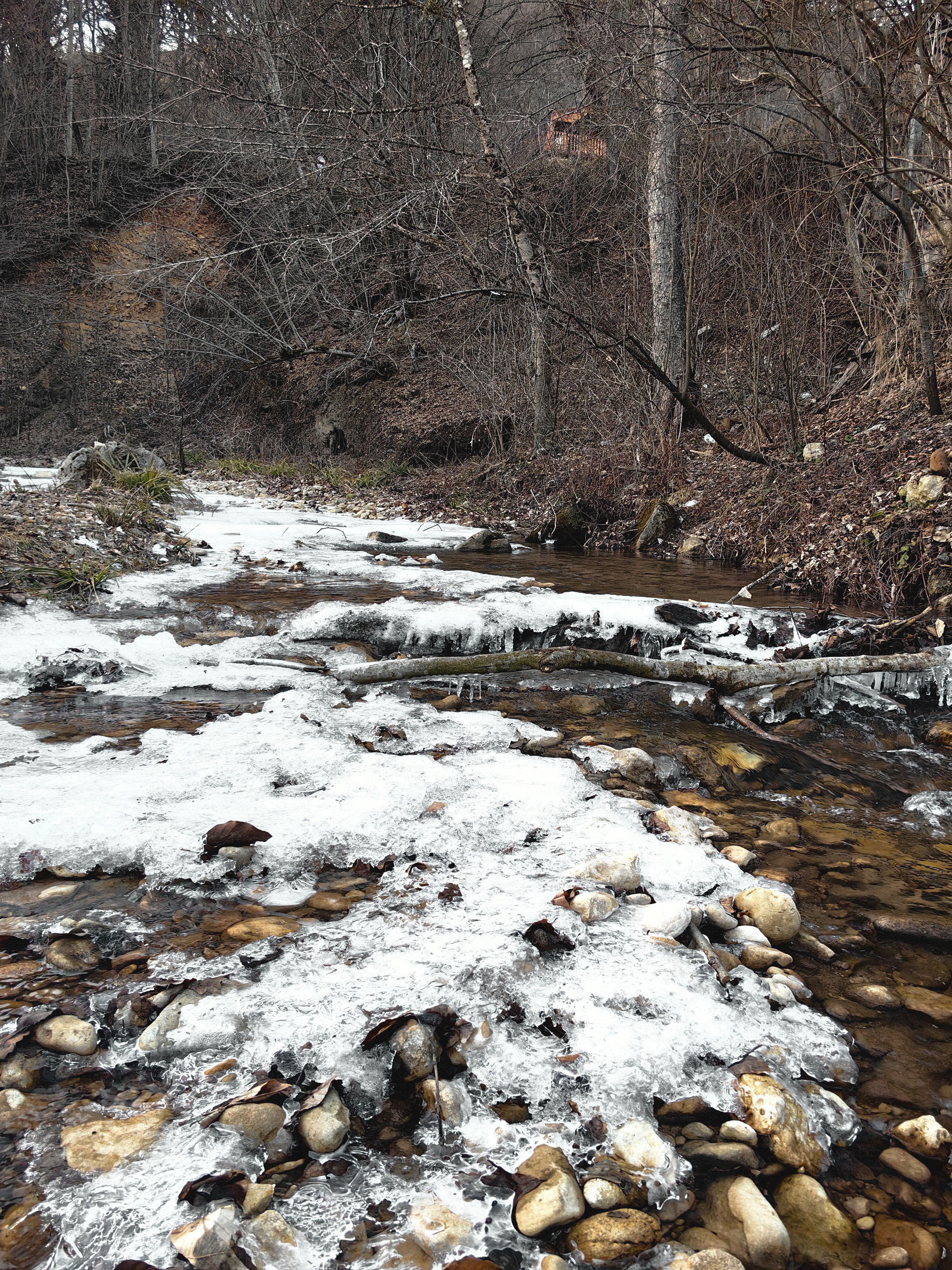 Фото Лес и Горы