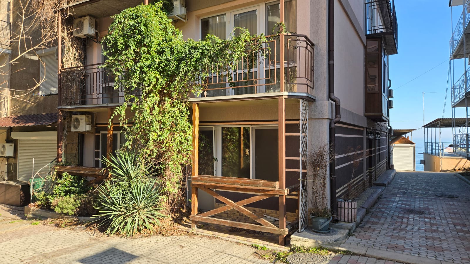 Фото Горная лаванда