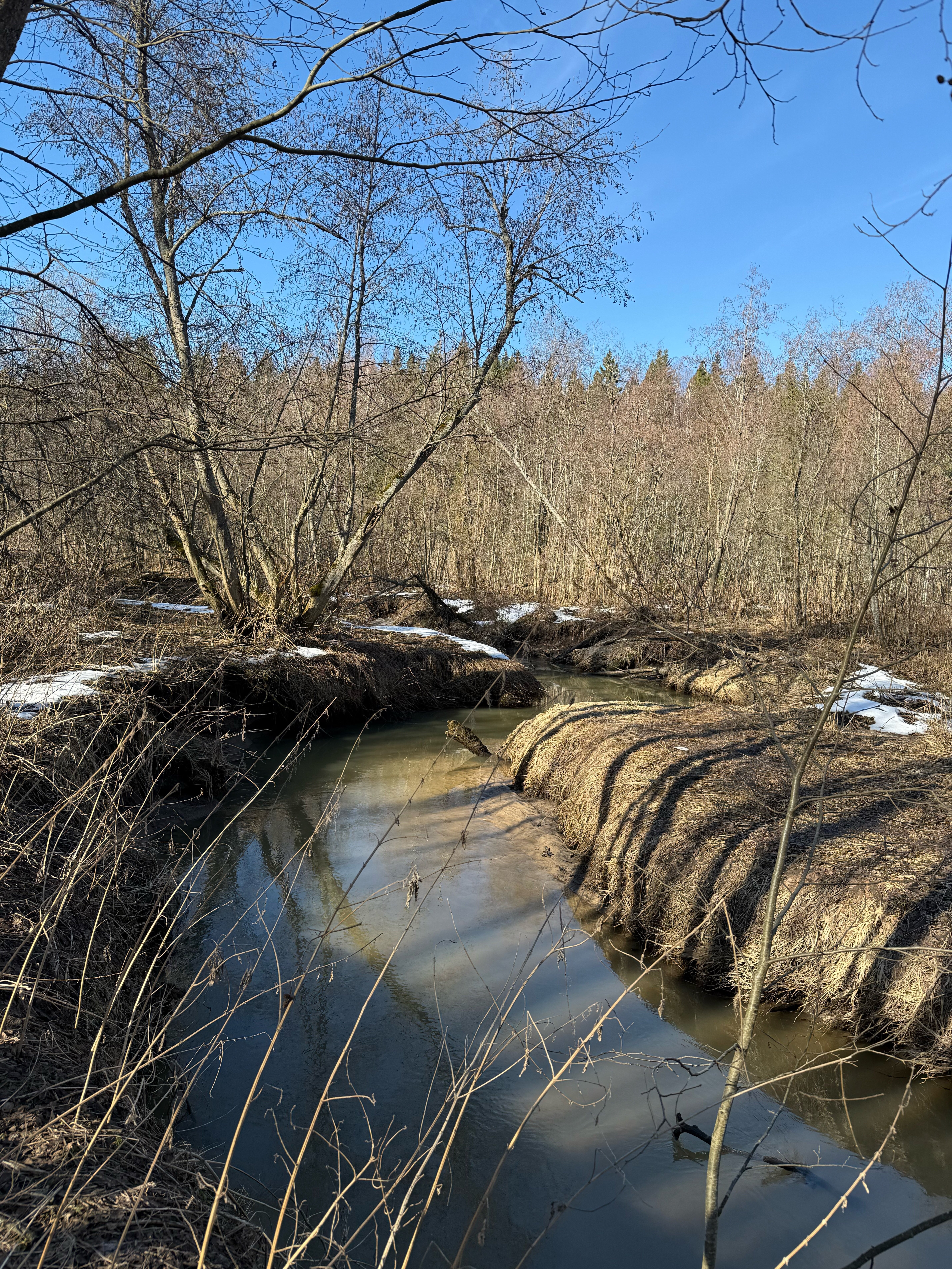 Фото My little forest