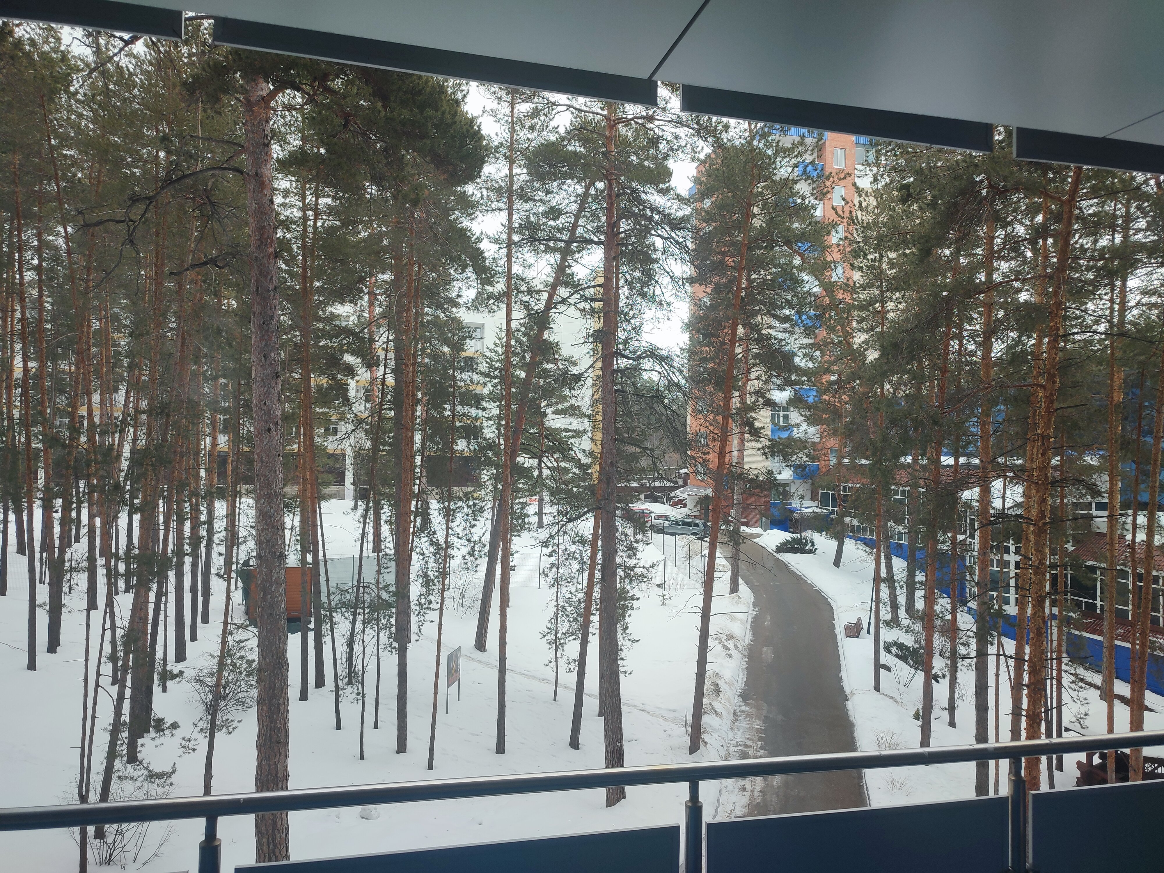 Фото Надежда