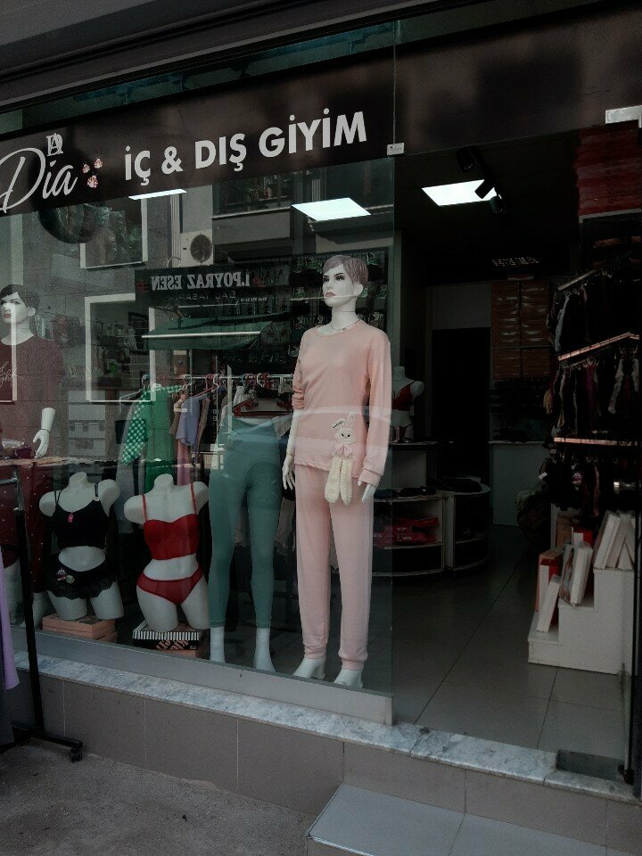 Lingerie and swimwear shop Dia, Izmir, photo