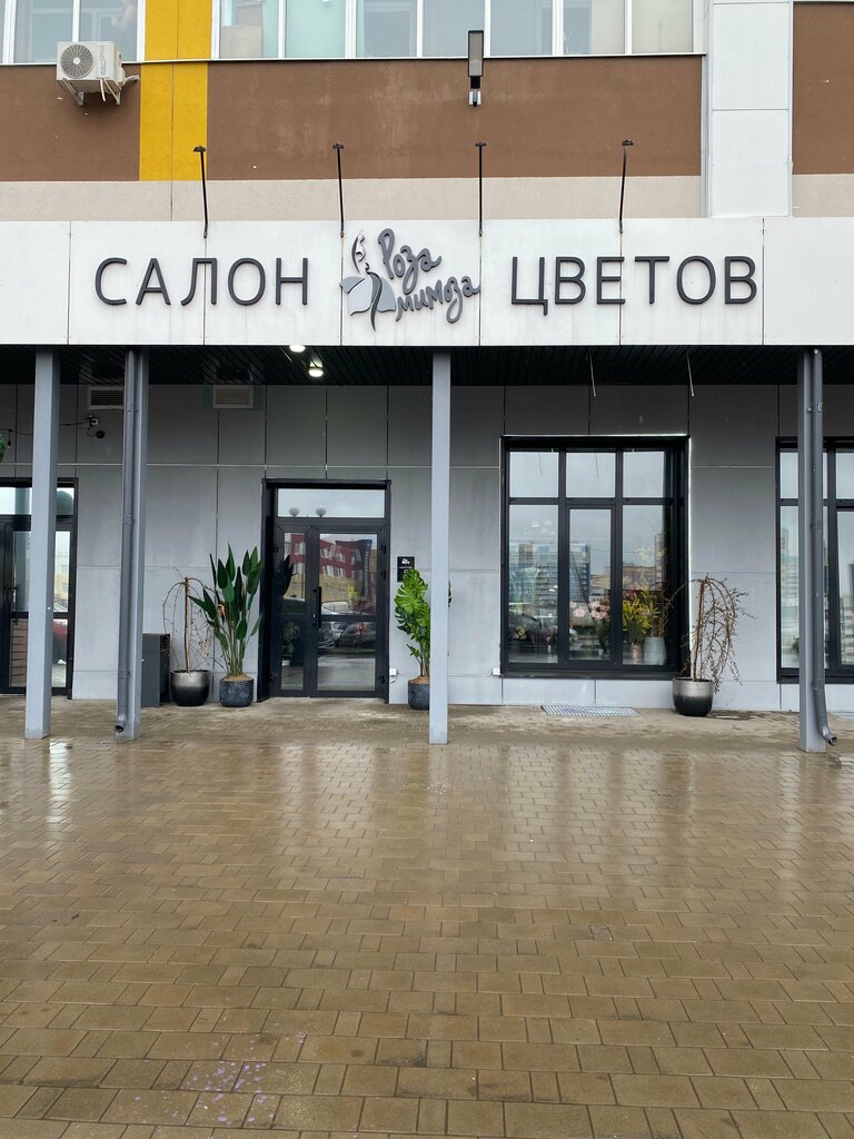 Flowers and bouquets delivery Роза мимоза, Bryansk, photo