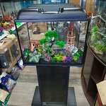 Аквариум (Promyshlennaya Street, 103/2), aquariums