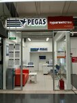 Пегас Туристик (Kotovskogo Street, 19/1), travel agency