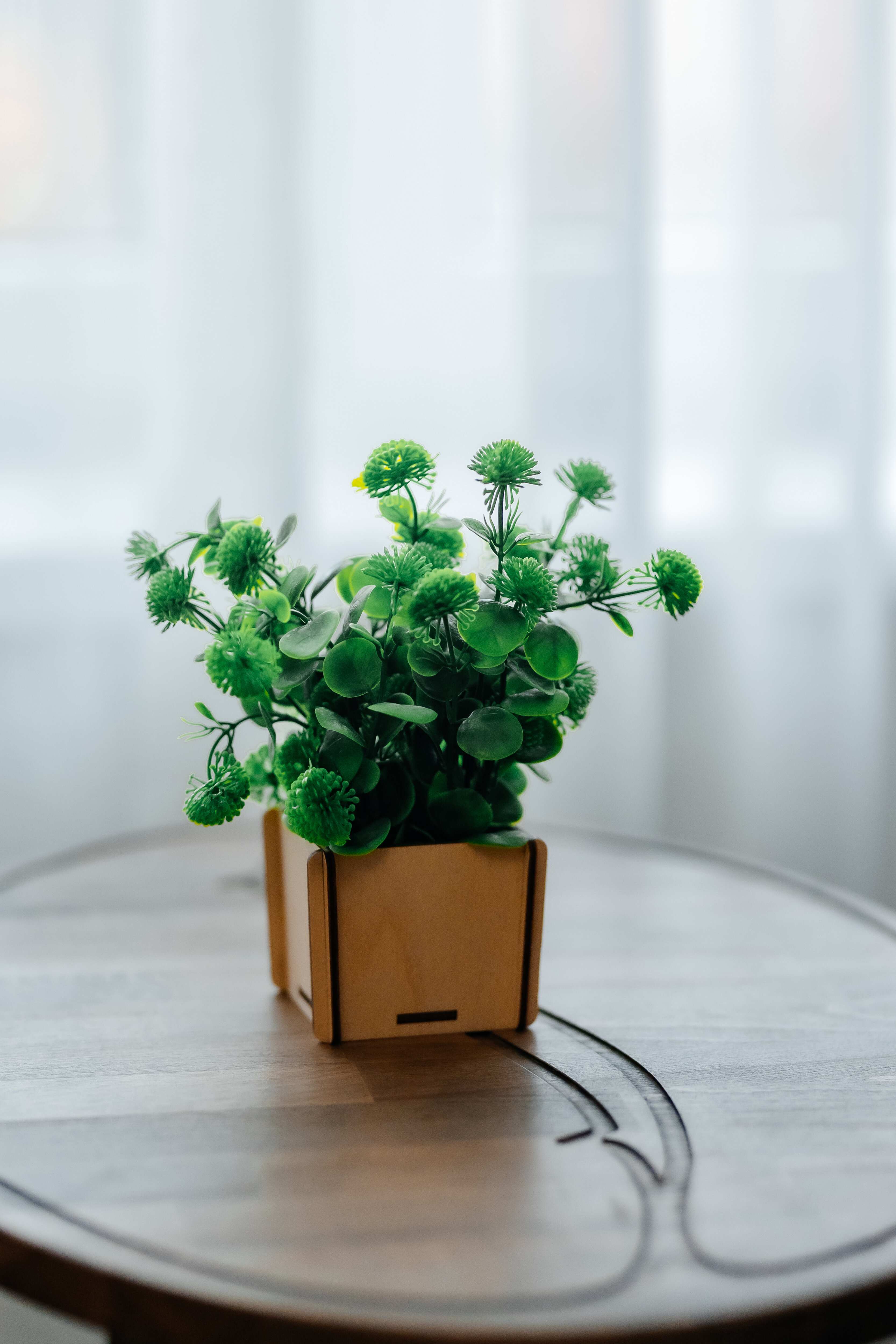 Фото Hotel Grace