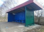 Медицинская улица (Nizhniy Novgorod Region, gorodskoy okrug Arzamas, selo Abramovo, Meditsinskaya ulitsa), parada de transporte público