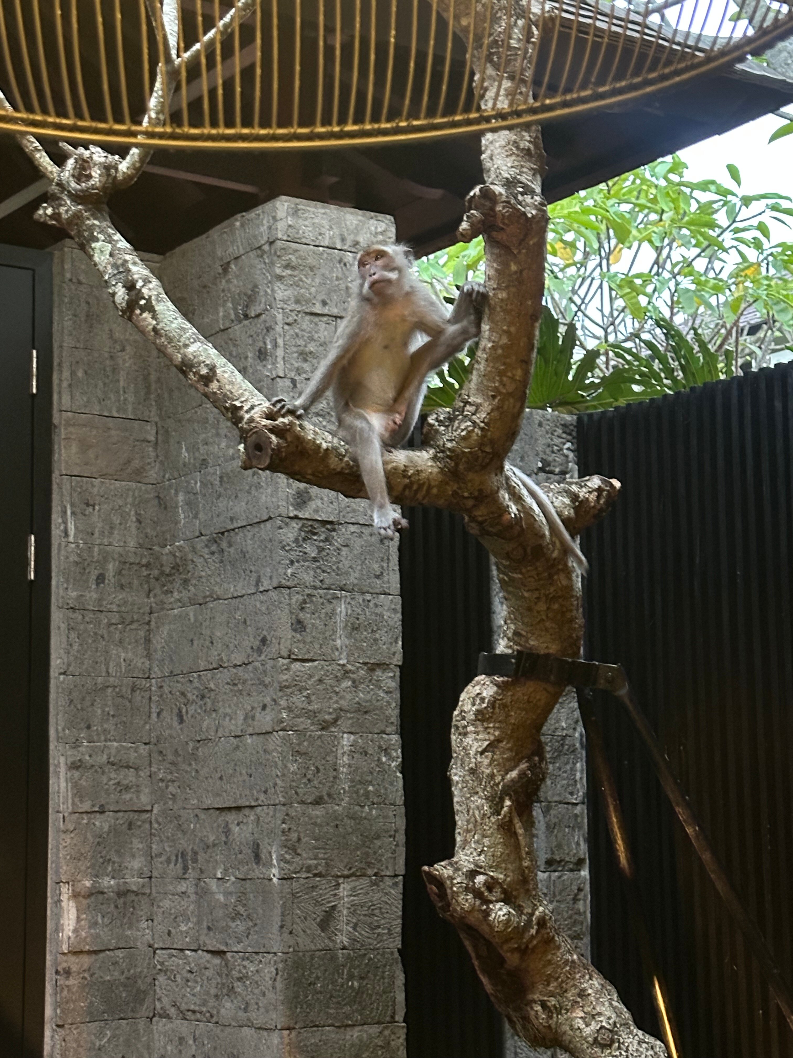 Фото The Apurva Kempinski Bali