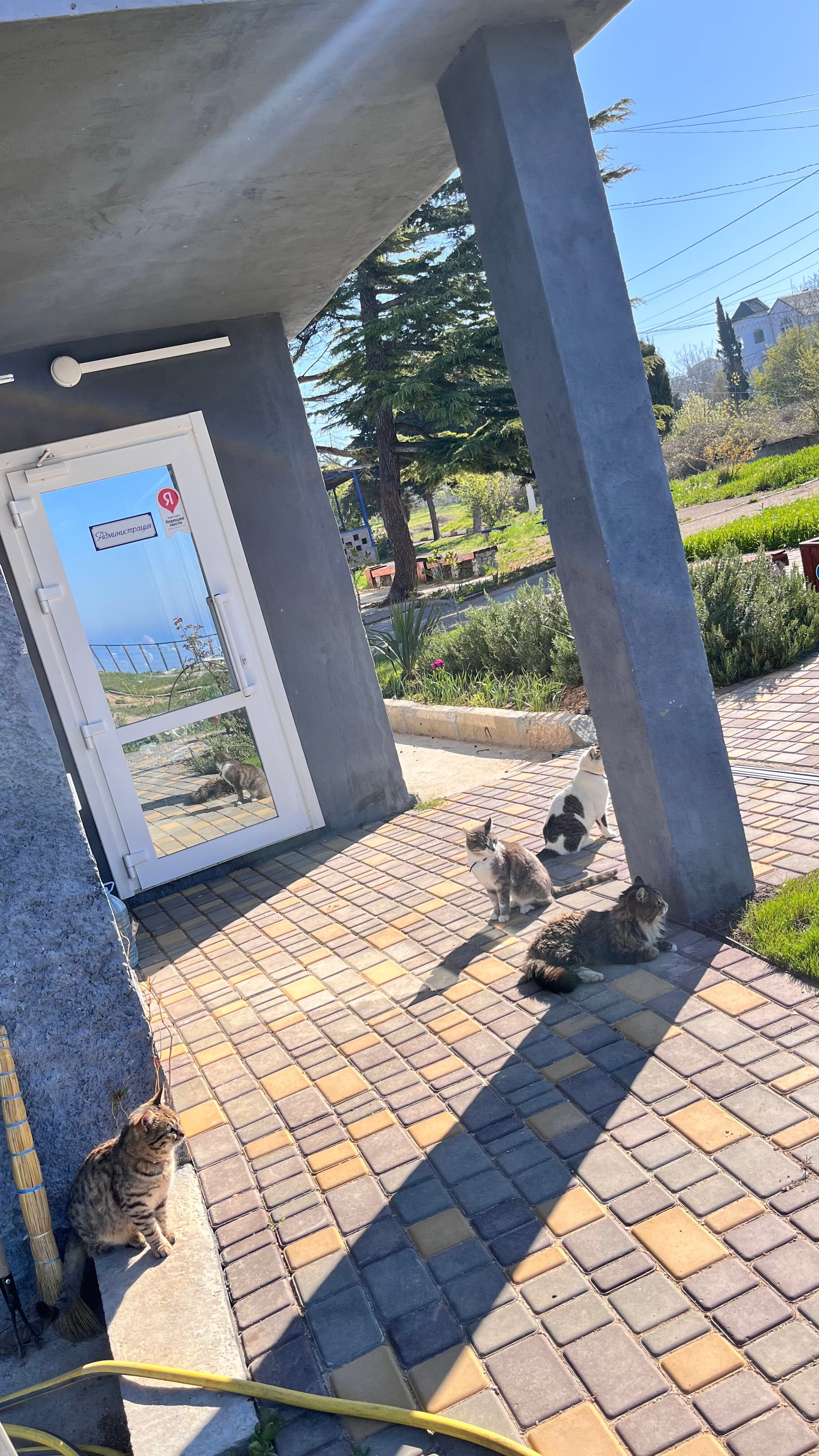 Фото Каравелла