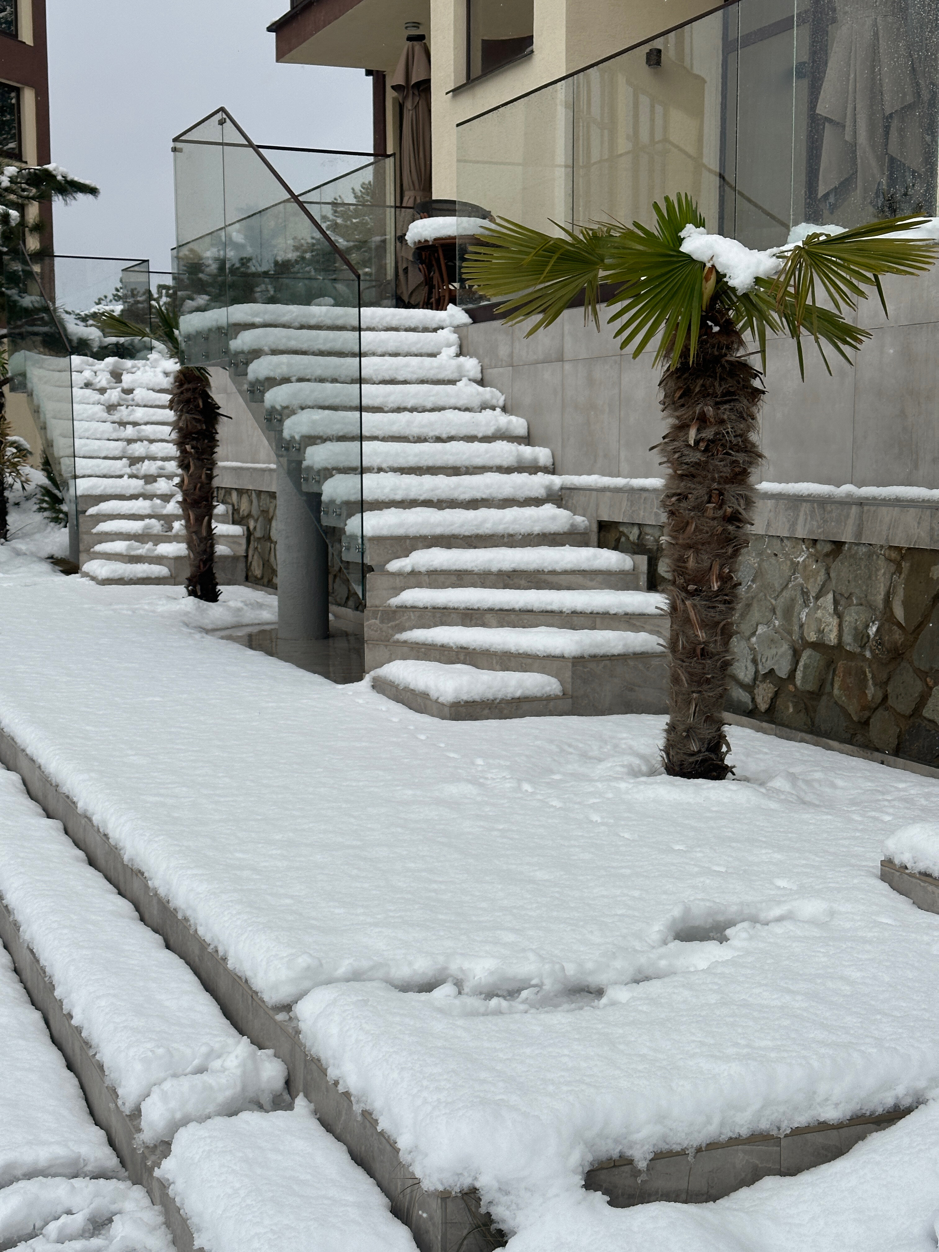 Фото ЛаПальма