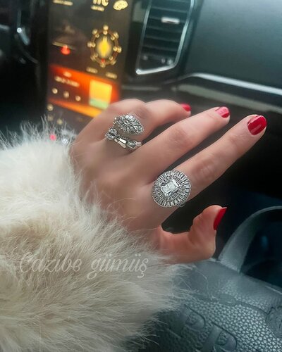 Cazibe gümüş Fotoğraf 1