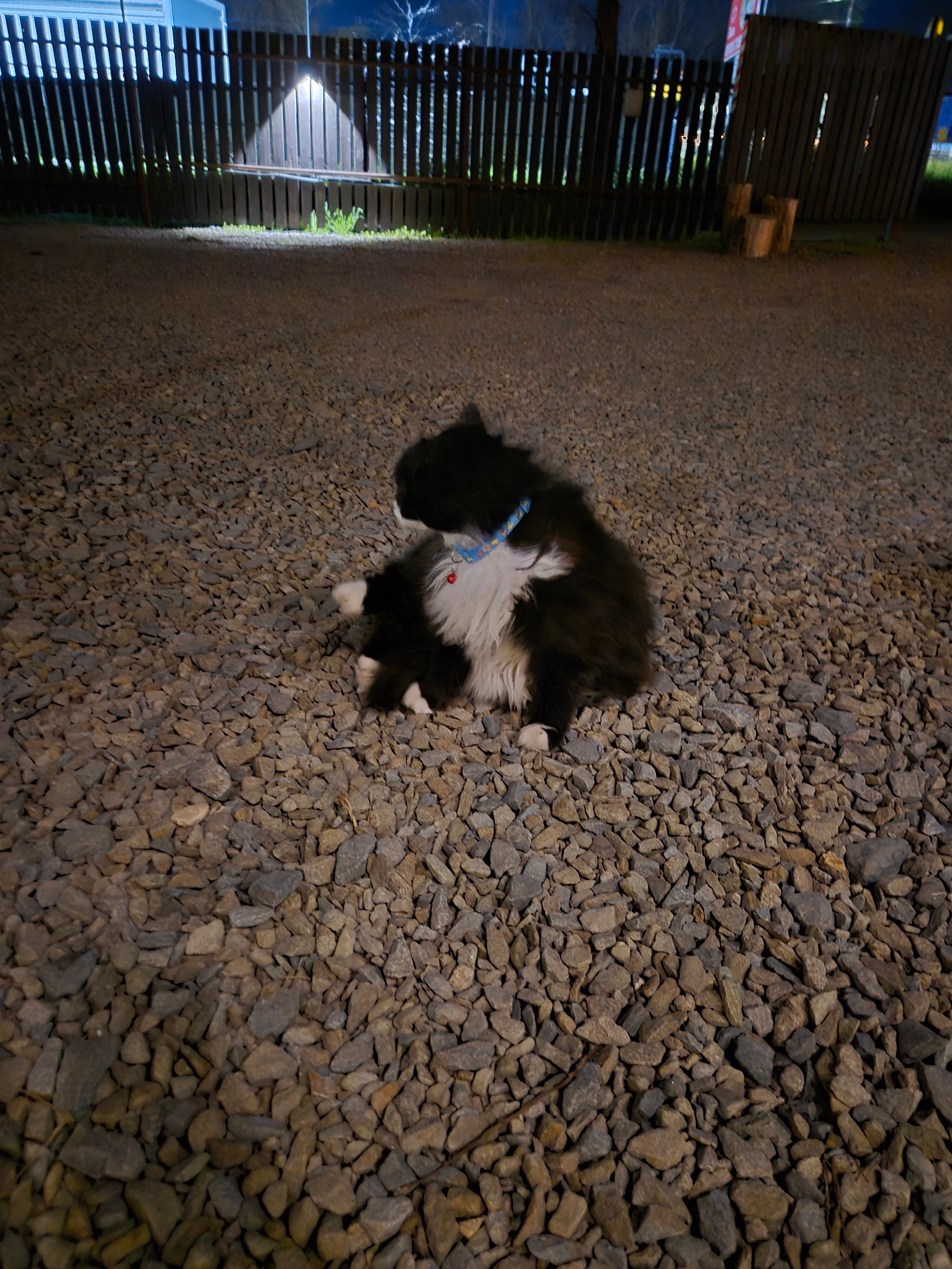 Фото Жданова апарт