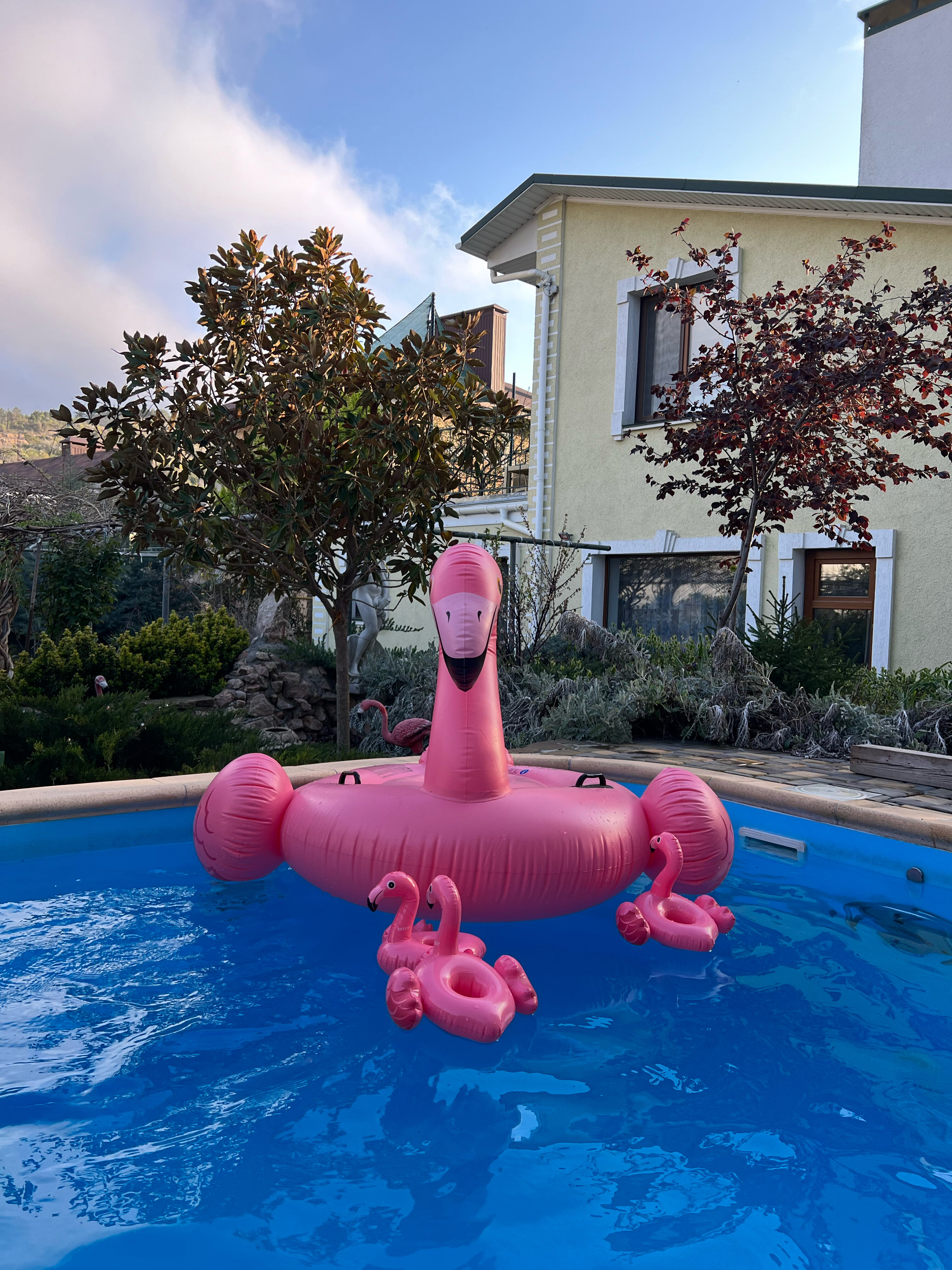 Фото Фламинго коттедж