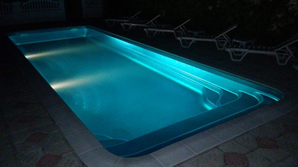 Фото Магнолия