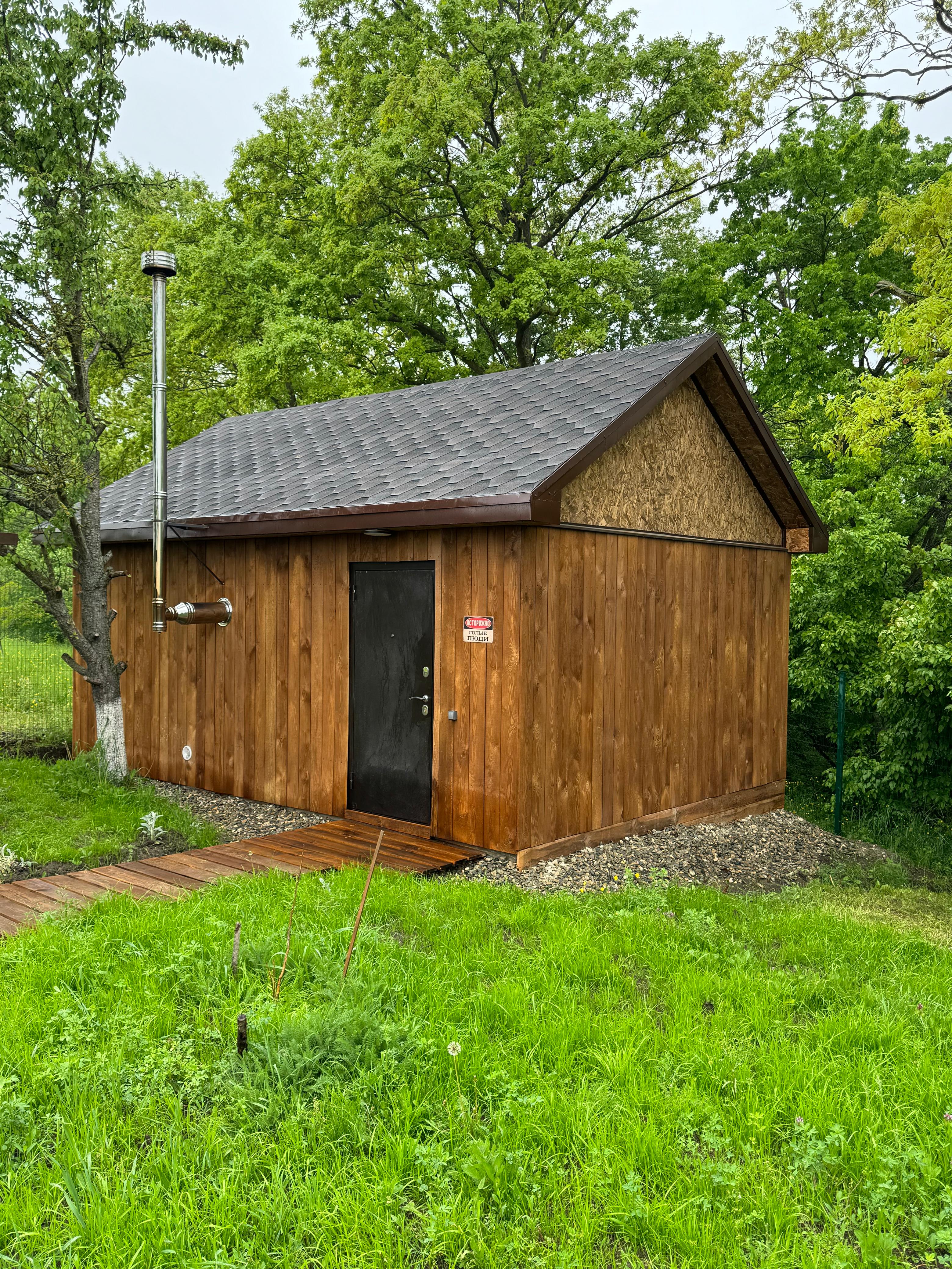 Фото Стрижи