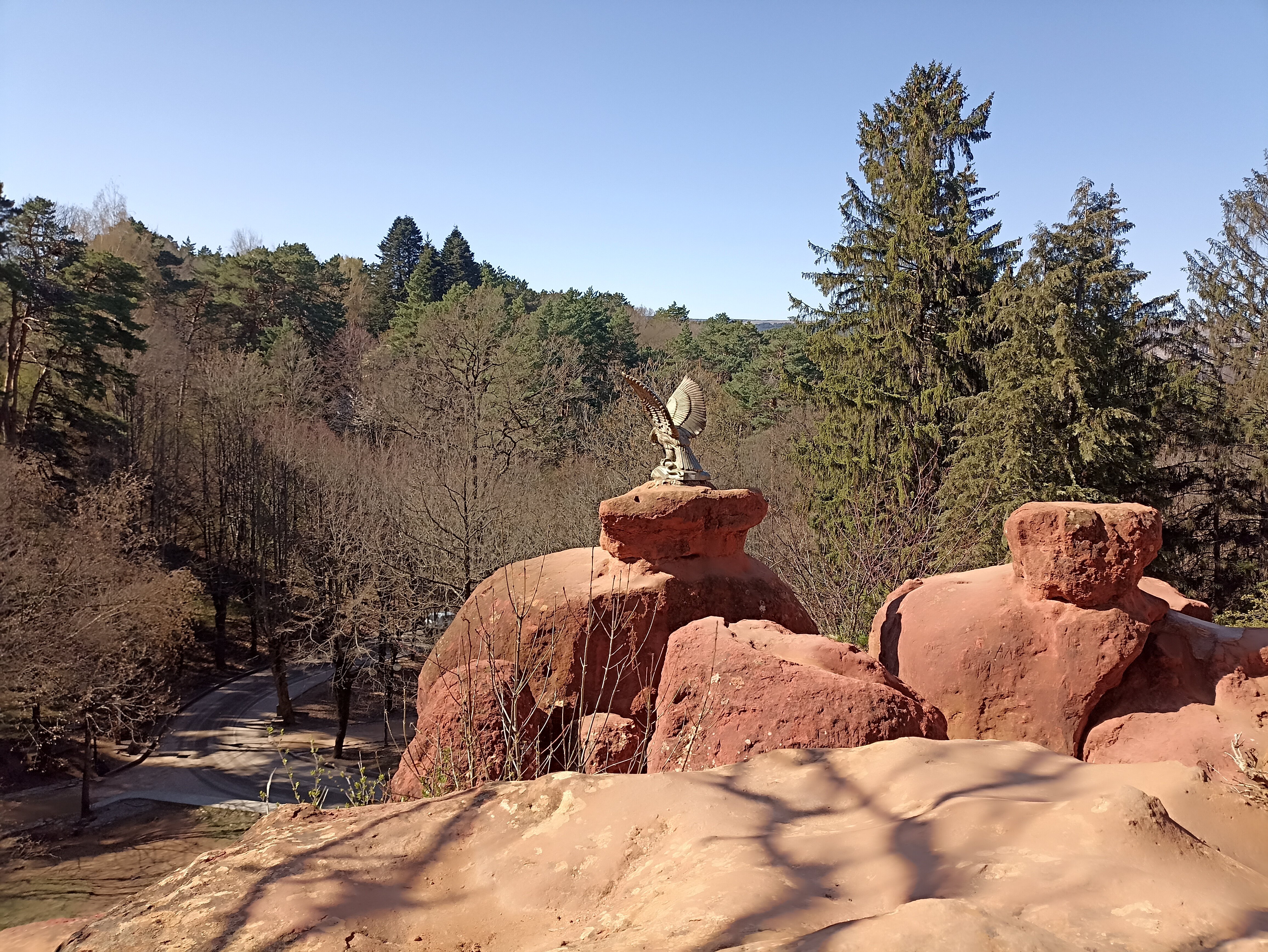 Фото Родина