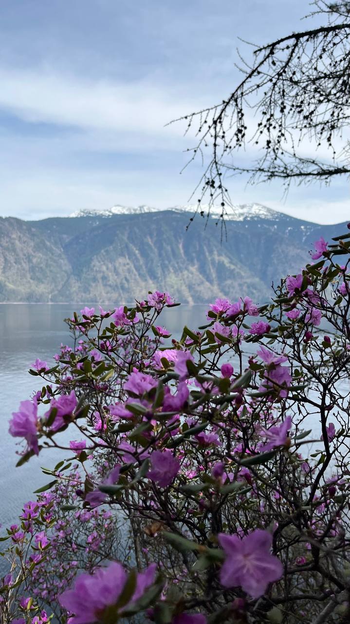 Фото Алтын-Кёль