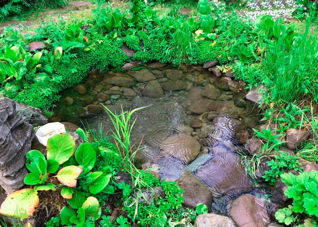 Фото Галактика Алтай