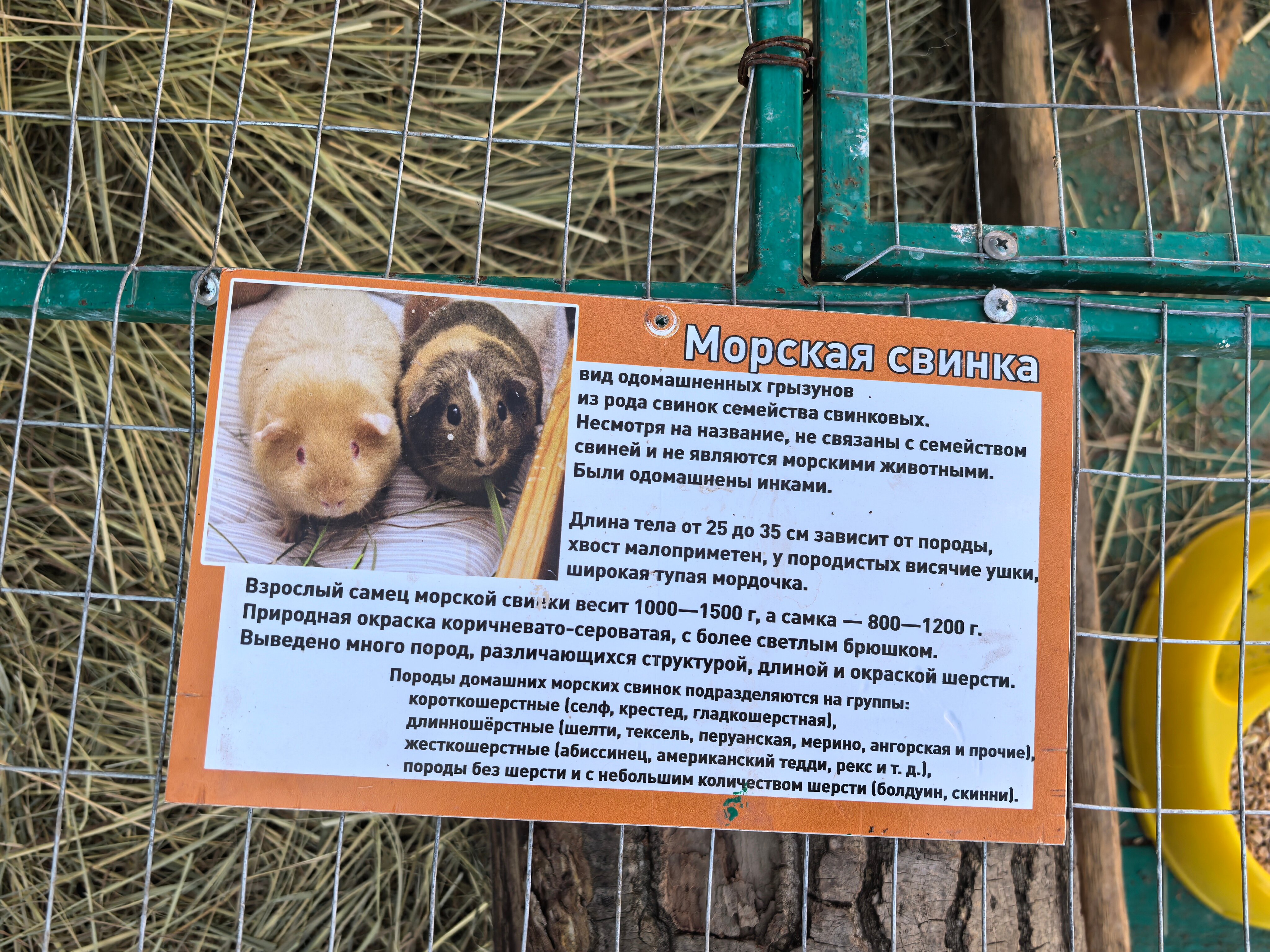 Фото Казачий хуторок