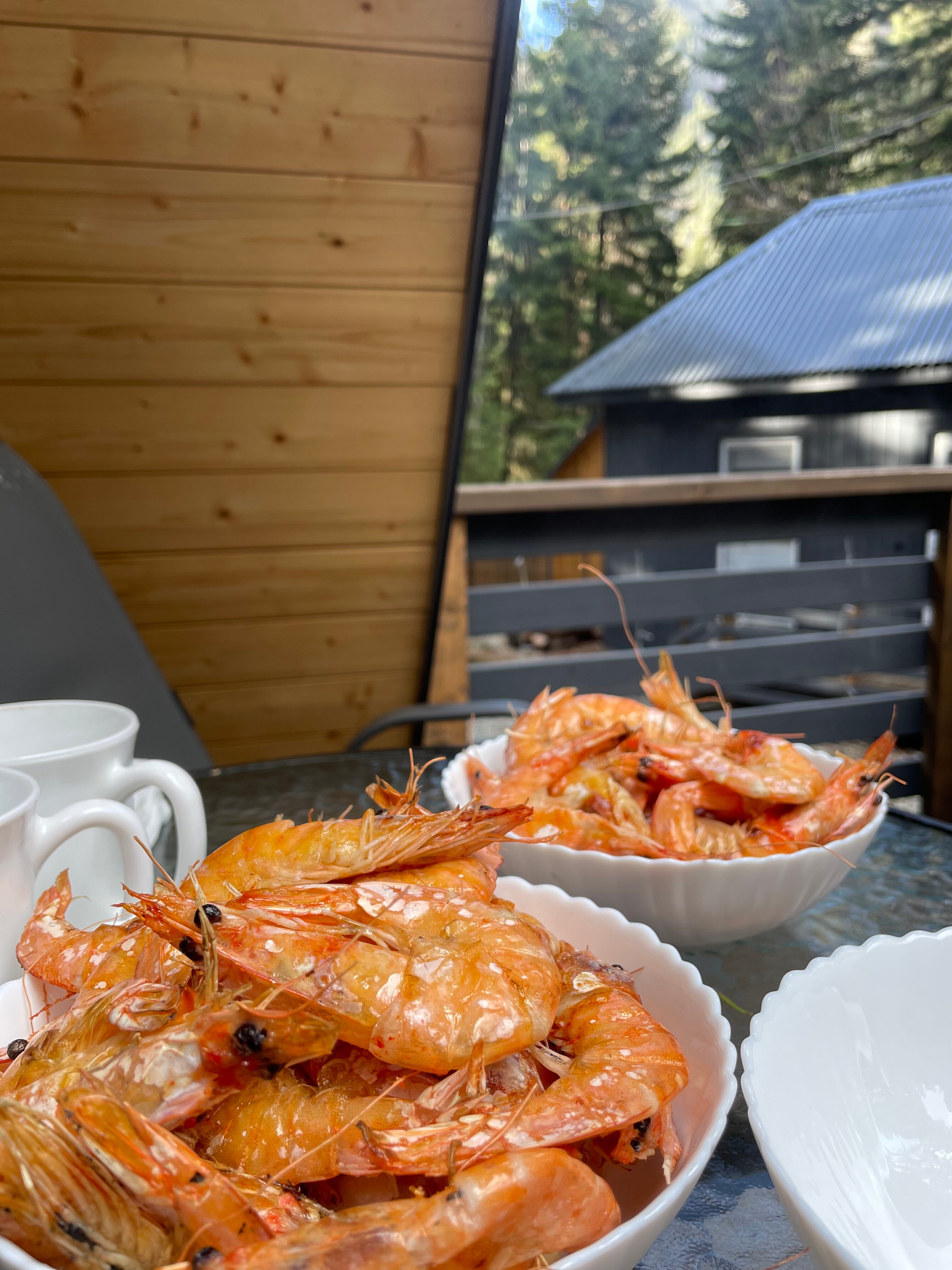 Фото Лесная Заимка