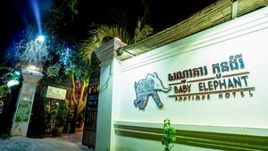 Гостиница Baby Elephant Boutique Hotel