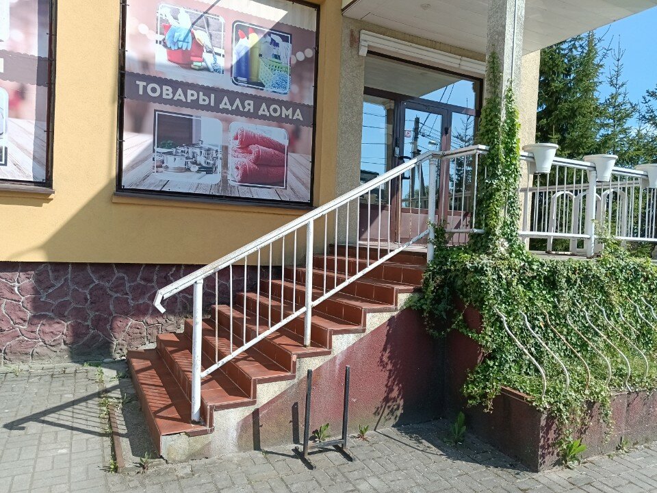 Фото Калина