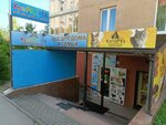 KoтoПёс (Olega Koshevogo Street, 15), pet shop