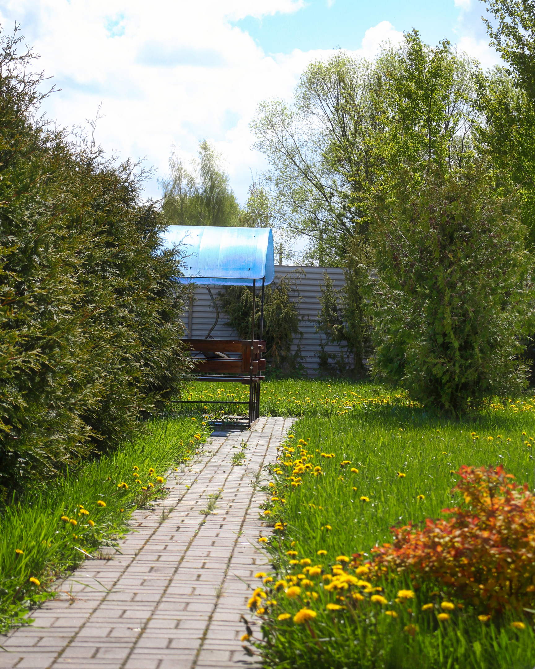 Фото ИнСуздаль