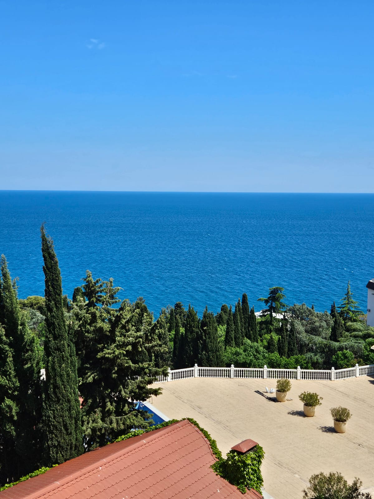 Фото Софи Голд