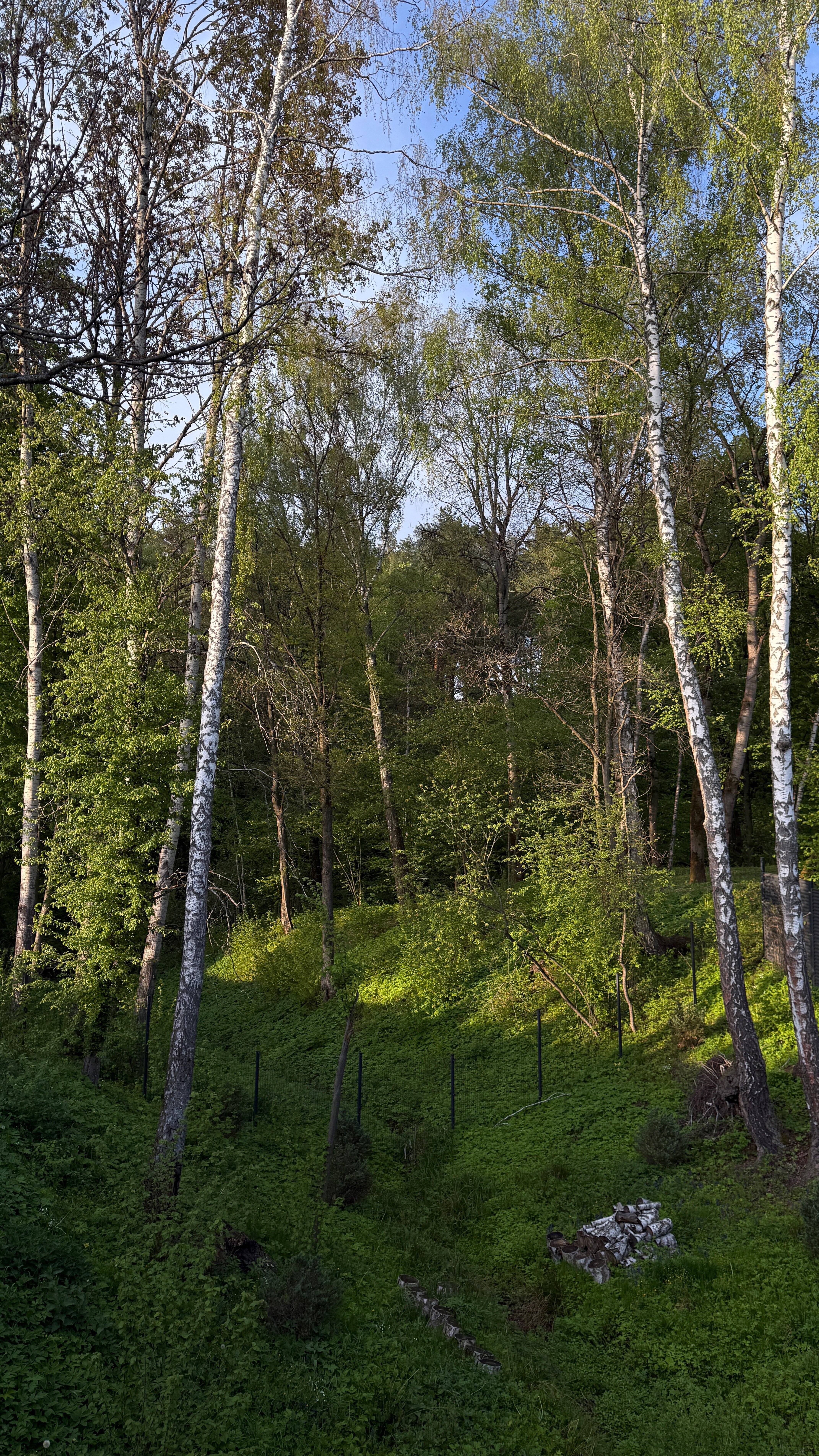 Фото Дар. Велегож