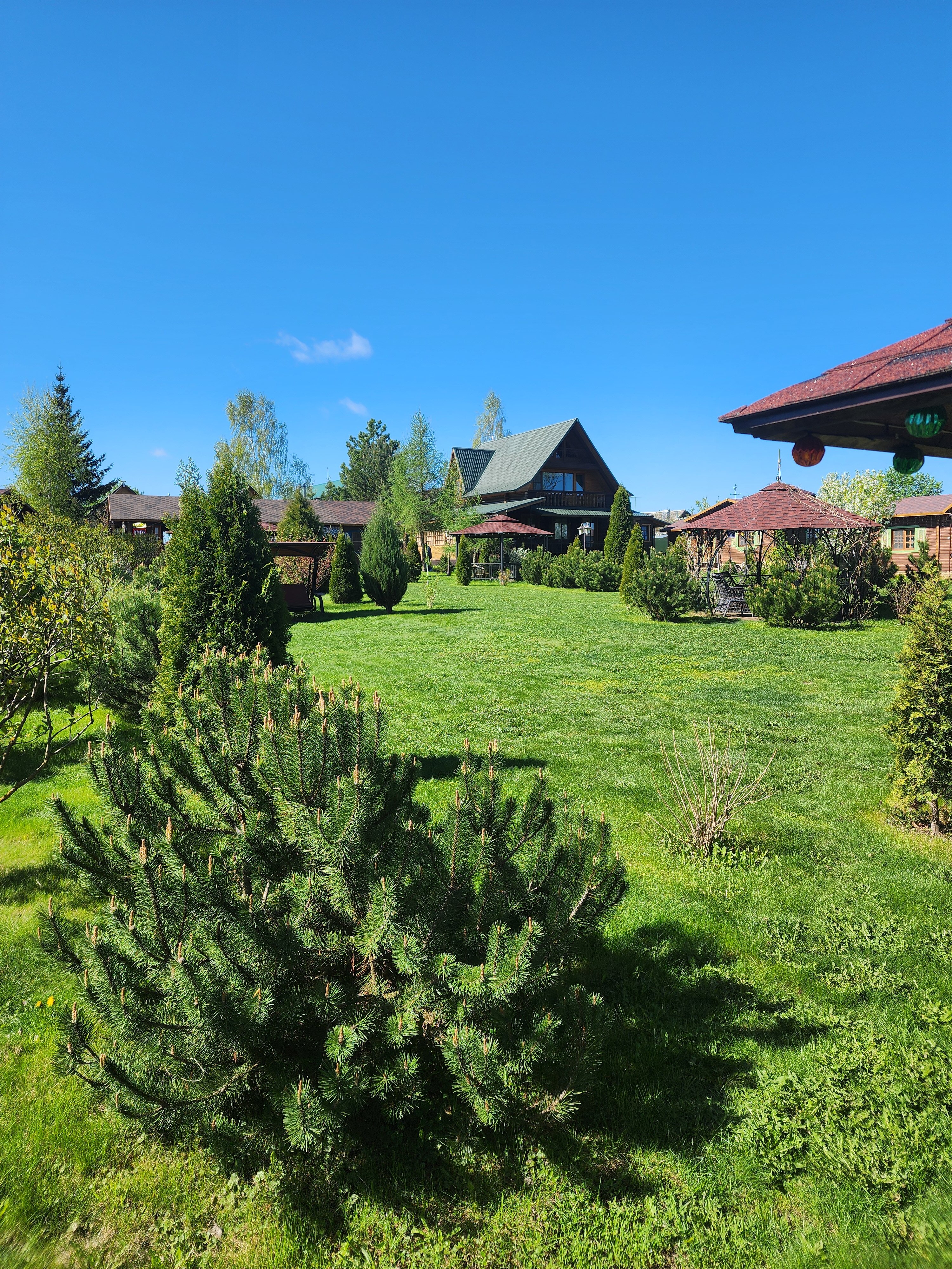 Фото Дивный дворик