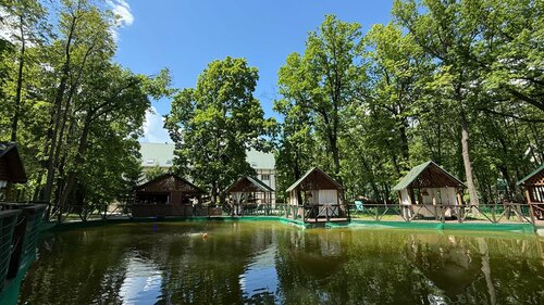 Парк-отель Дубрава 4.9* — фото 2