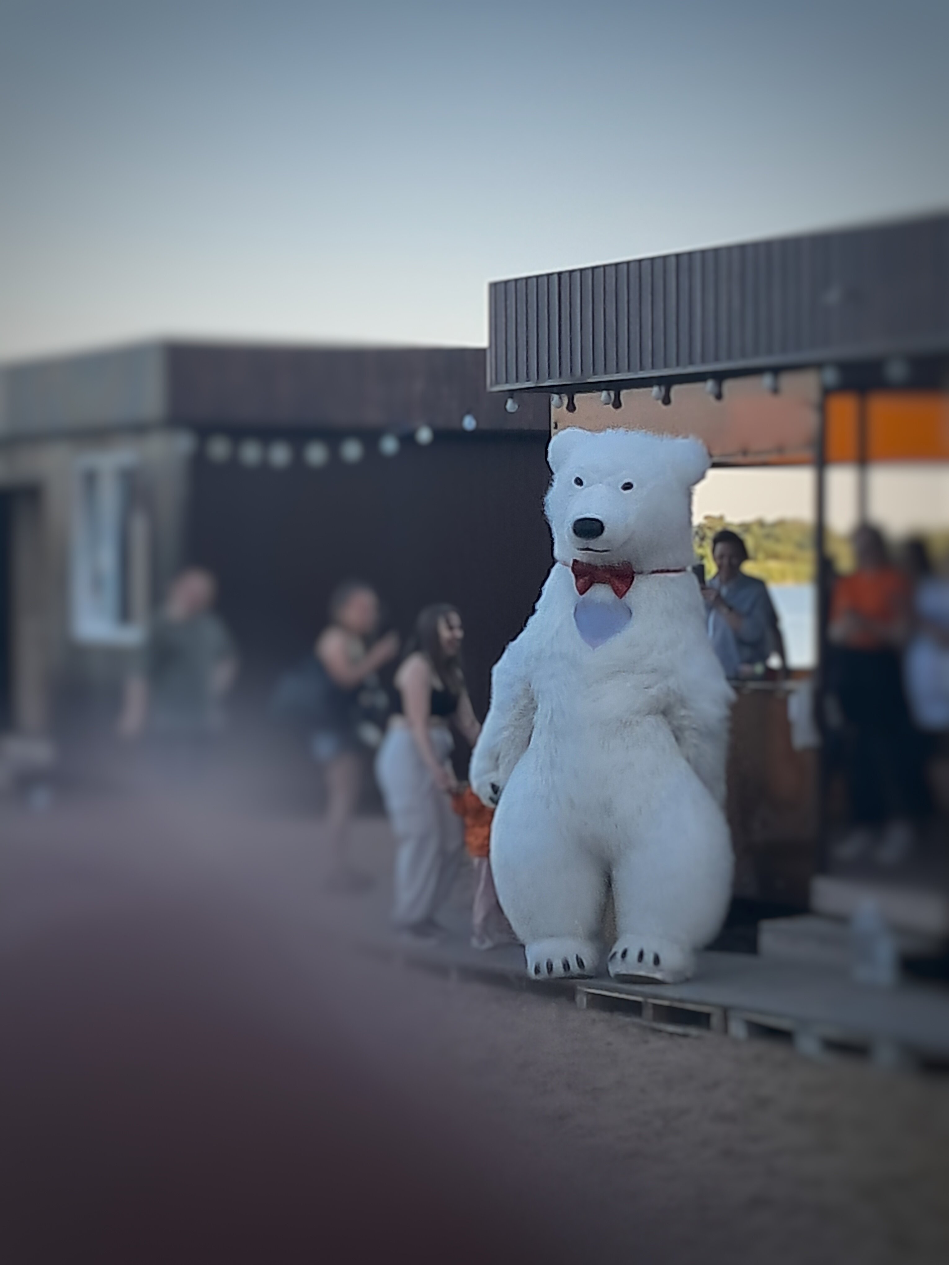 Фото Солнце, воздух и вода