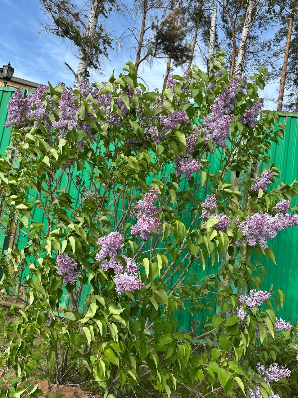 Фото Источник