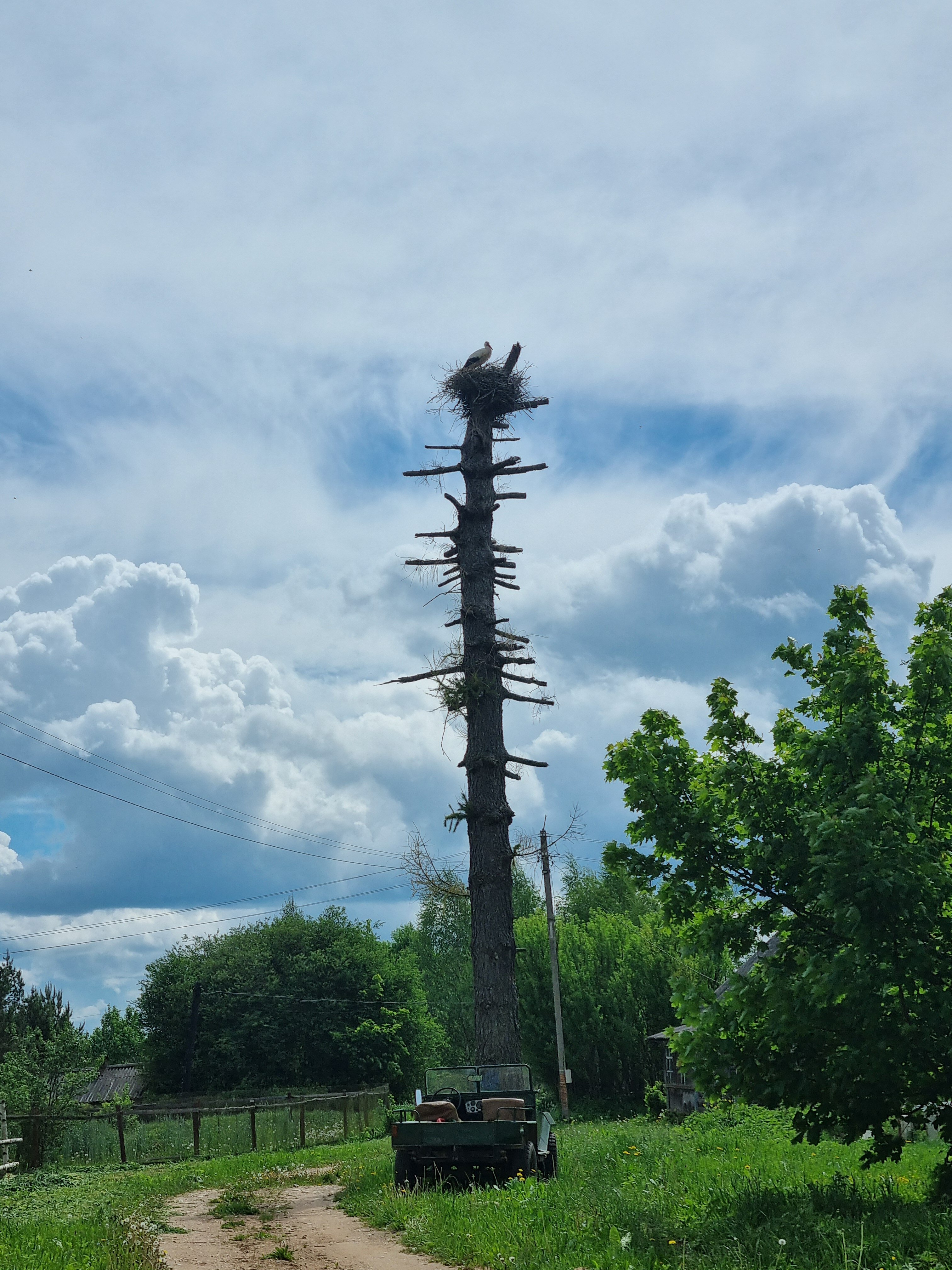 Фото Верхнее Никольское