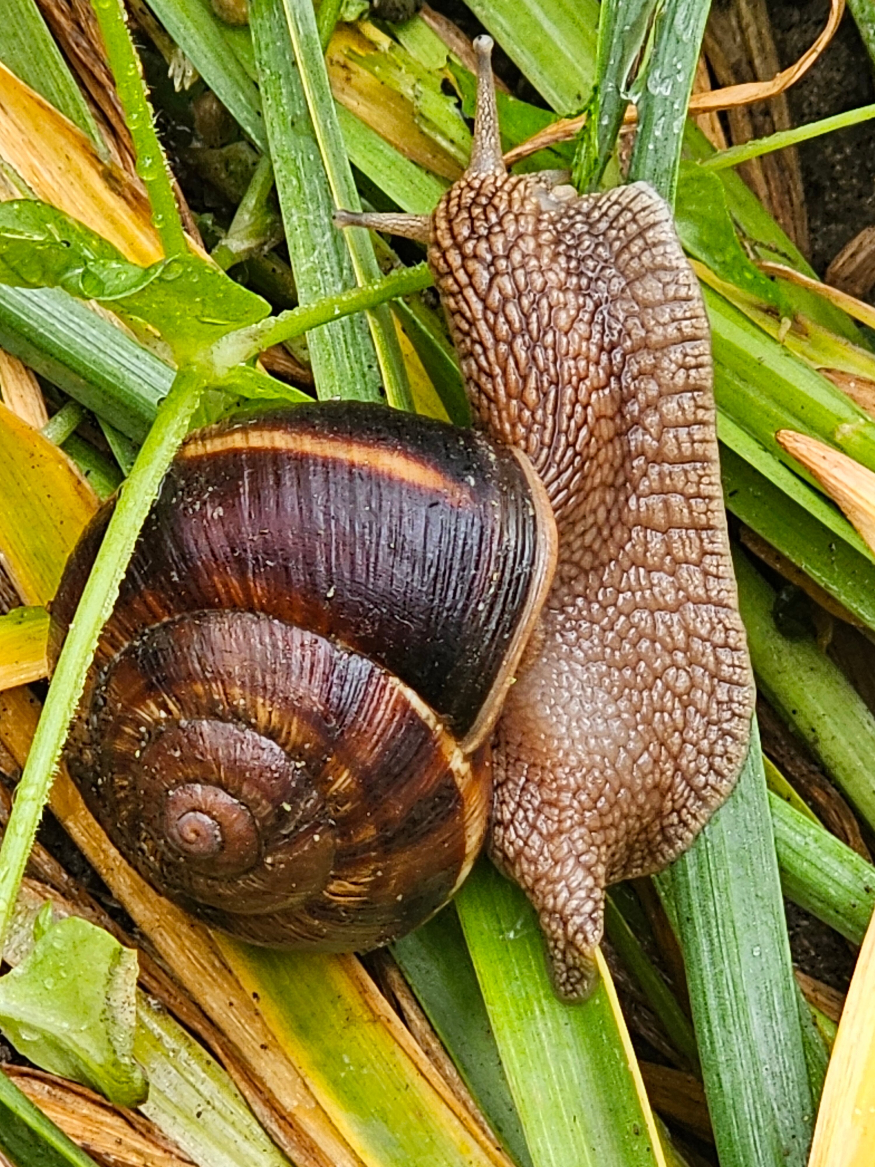 Фото Гостевые домики у реки Дах