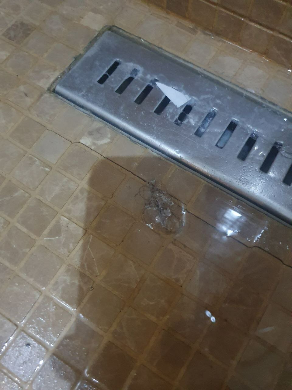 Фото Европейская