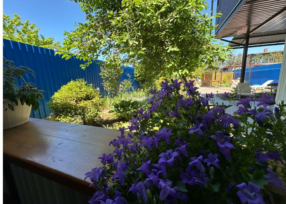 Фото Моника