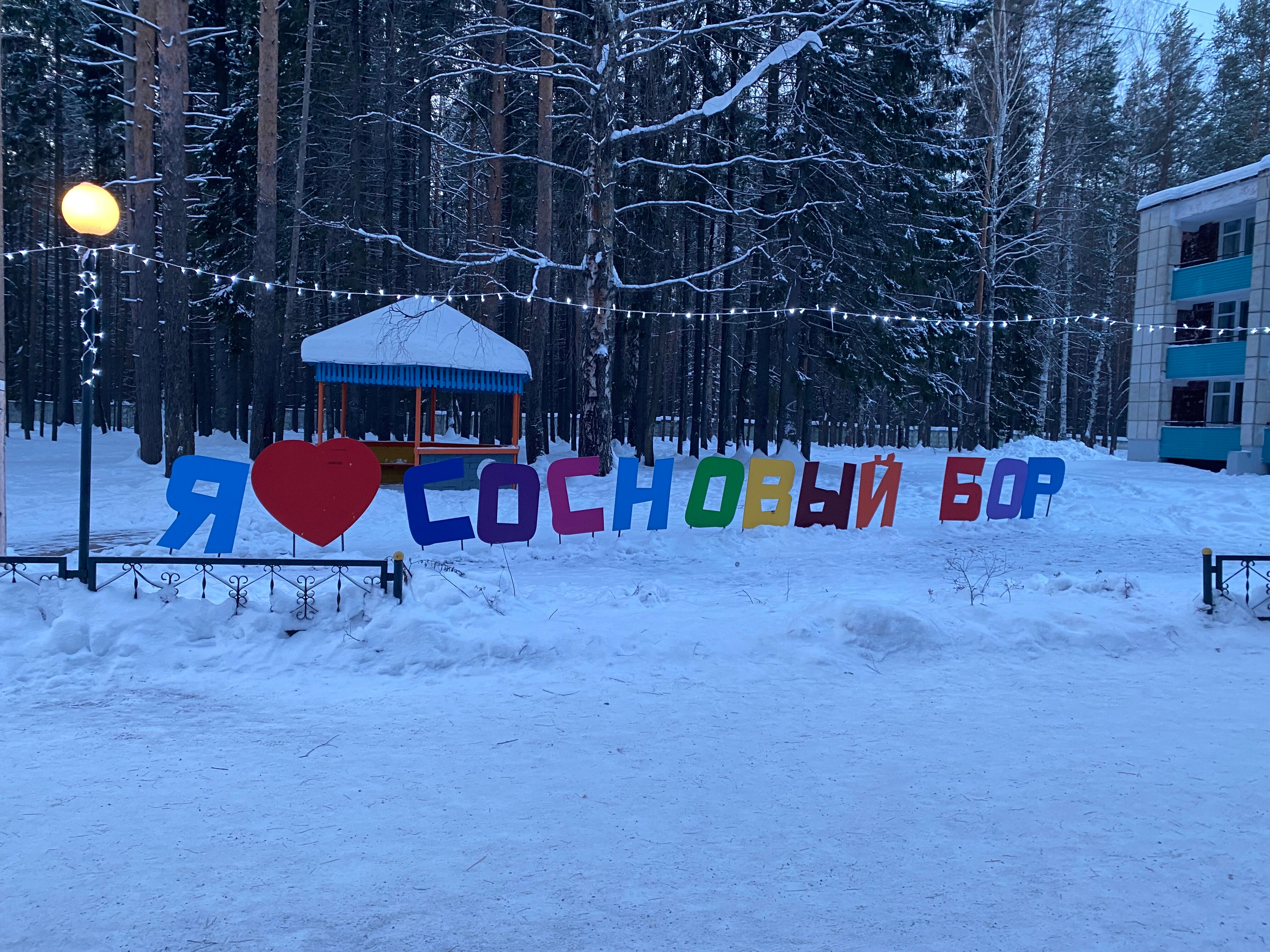 Фото Сосновый бор