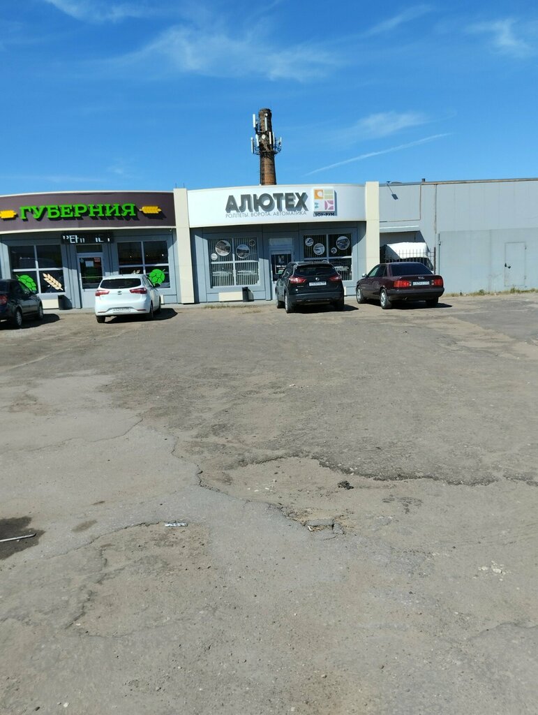 Automatic doors and gates Alutech-M, Tambov, photo