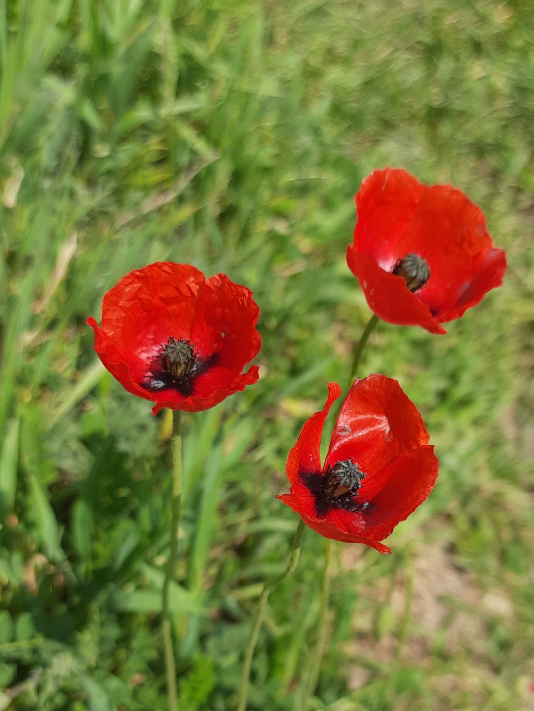 Фото Москва-Крым